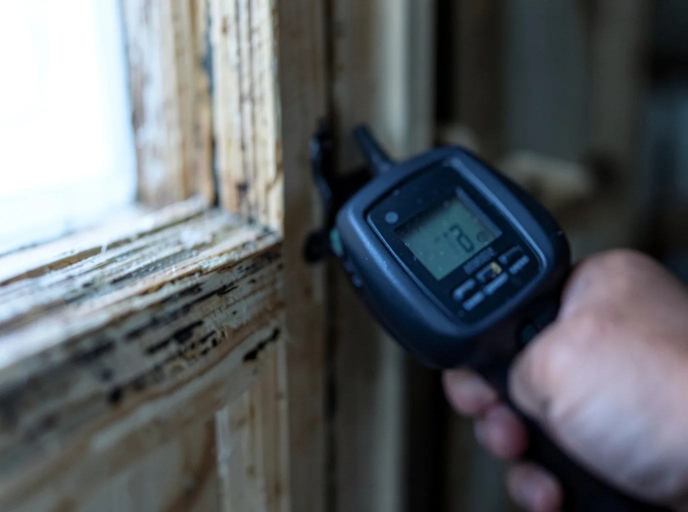 Commercial Water Damage Restoration in Eden, NY